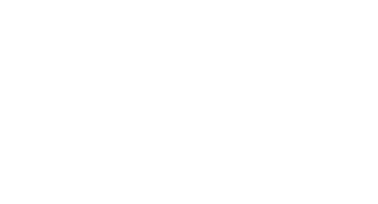 A logo with the words Youngstown Flats.